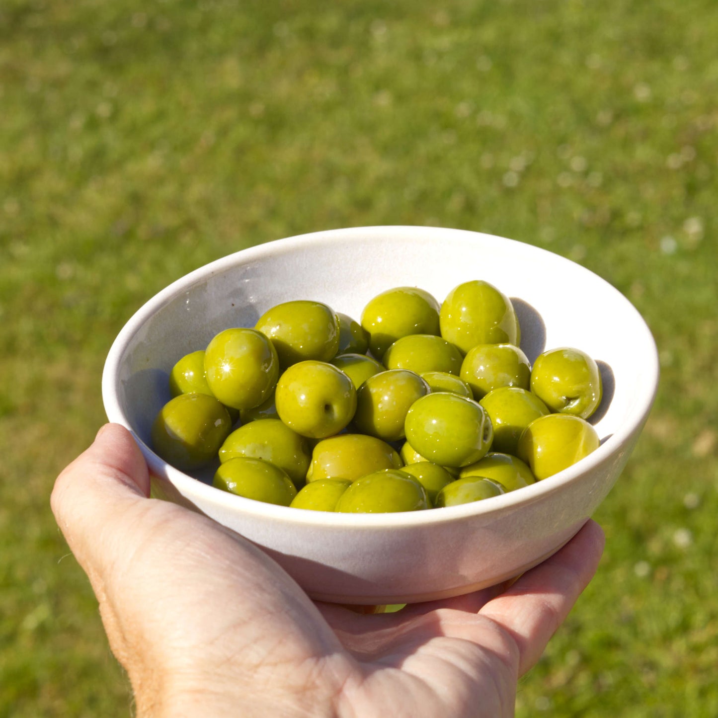 White ceramic tapas bowl held in the hand and filled with olives, ideal for antipasti, Mediterranean nibbles, minimalist serving and casual summer entertaining